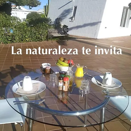 Appartement Starbal
