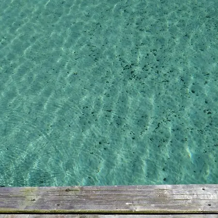 Starbal * 埃斯卡斯特利